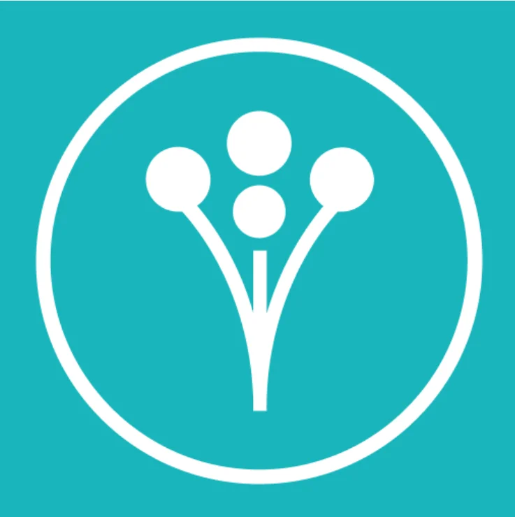 WeddingWire Reviews